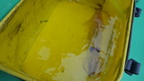 20160615_095442