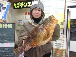 釣果情報②(ウッカリカサゴ?)