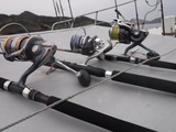 DSCF0539