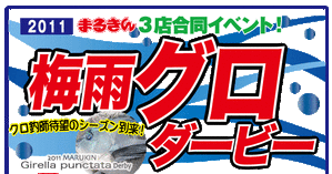 梅雨グロダービー