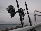 DSCF0735