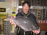 c0216_nakazato