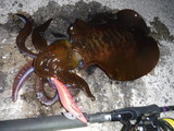 DSCF0475