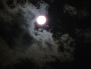 夜釣り