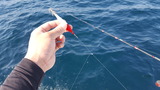20170529_080728