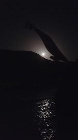20170411_200644