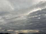 吉田 157