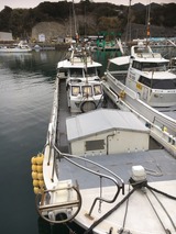 IMG_1554
