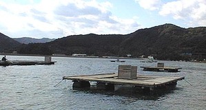 イカダ1