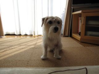 s-IMG_0251