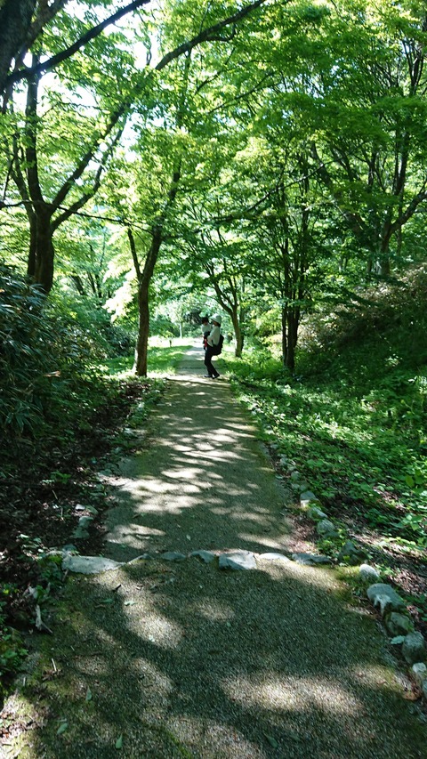 mitene4de292bc-844e-4bff-ae66-422c6f20d11f