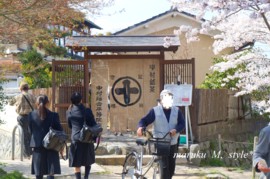 saka8.jpg