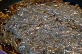 ika1_20150320184246970.jpg