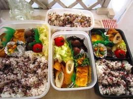 お弁当・7m