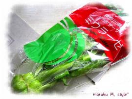 野菜5m