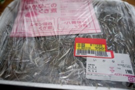 ika2_201503201842486c4.jpg