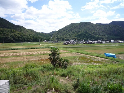 43a32baf.jpg