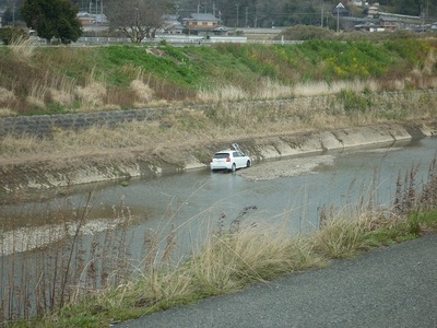 s-P1000640
