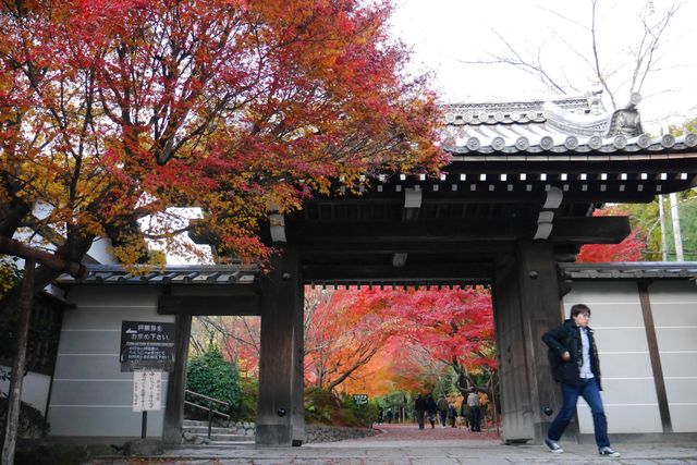 ryoanji-temple