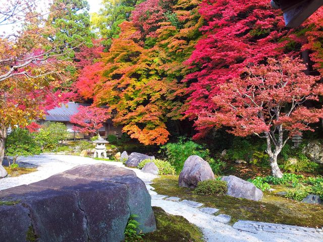 autumn-foliage-nanzenji