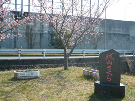 jyouyama 02