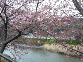 kawadu 03