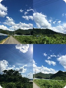 1531916781