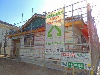 1-DSCN7893