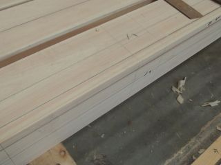 11-DSCN4785