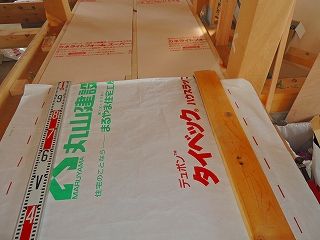 1-11-6-DSCN0155
