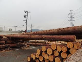 DSCN3243