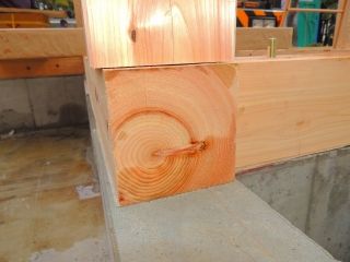11-DSCN7450