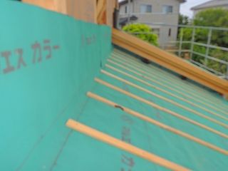 1-3-DSCN8681