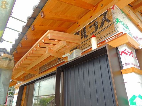 8-DSCN9099