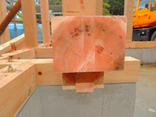 12-DSCN7452