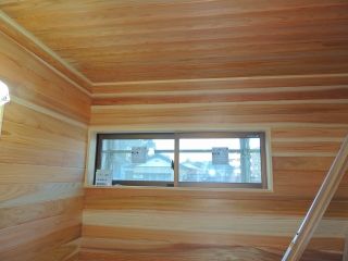 7-DSCN8295