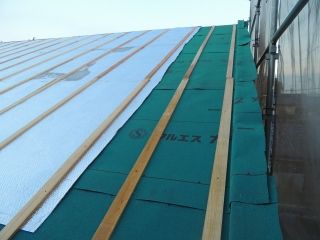 8-DSCN7486