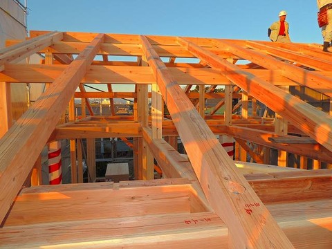9-DSCN8471