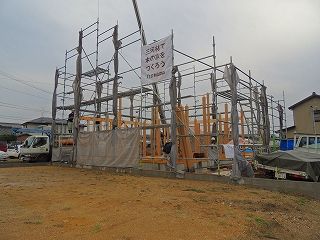 1-3-DSCN7996