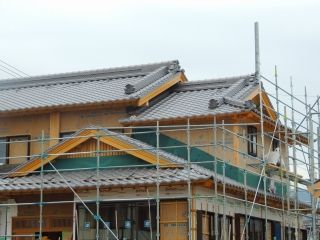 2-DSCN6079