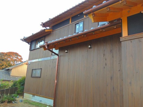 1-4-DSCN9955