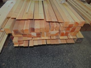 DSCN0089