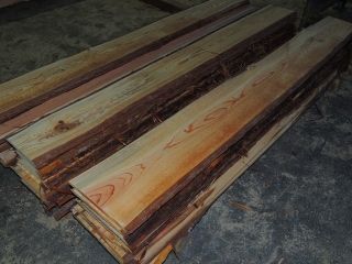 1-4-DSCN8660