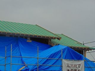 1-4-DSCN8694