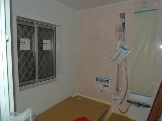 1-DSCN8233