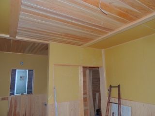8-DSCN8493
