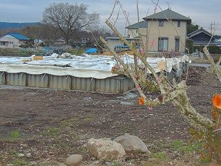 0-0-DSCN9368