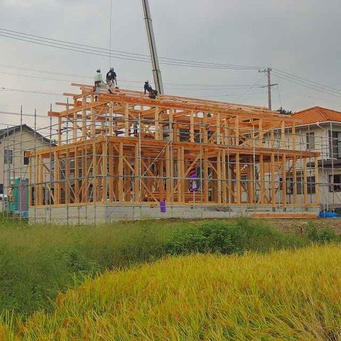 8-DSCN9191