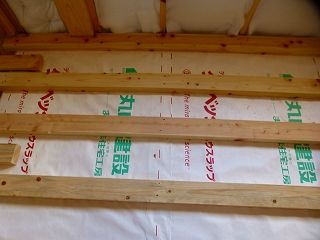 1-6-P1050808