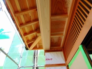 DSCN0026